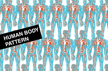 Human Body