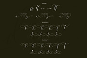 Longidea, a Script Font by Nathatype (Thumbnail 8 of 10)