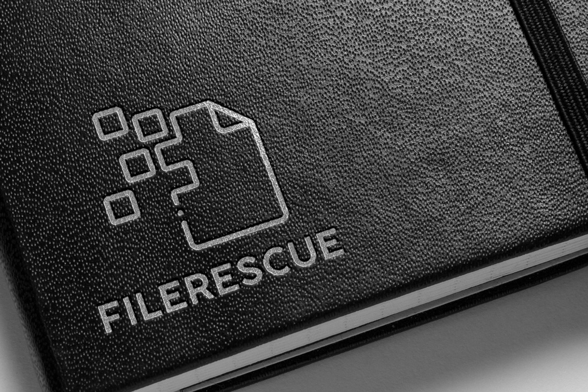 Data Recovery Logo, a Branding & Logo Template by MAOV (Photo 4 of 5)