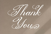 Bittenong Cenduin Modern Calligraphy, a Script Font by Denustudios (Thumbnail 13 of 13)