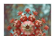 Muit Co · Retro Fruit Mandalas, a Food Illustration by milatovar (Thumbnail 5 of 22)