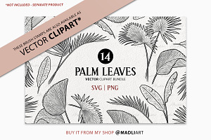 Palm Leaf Procreate Brush Stamps