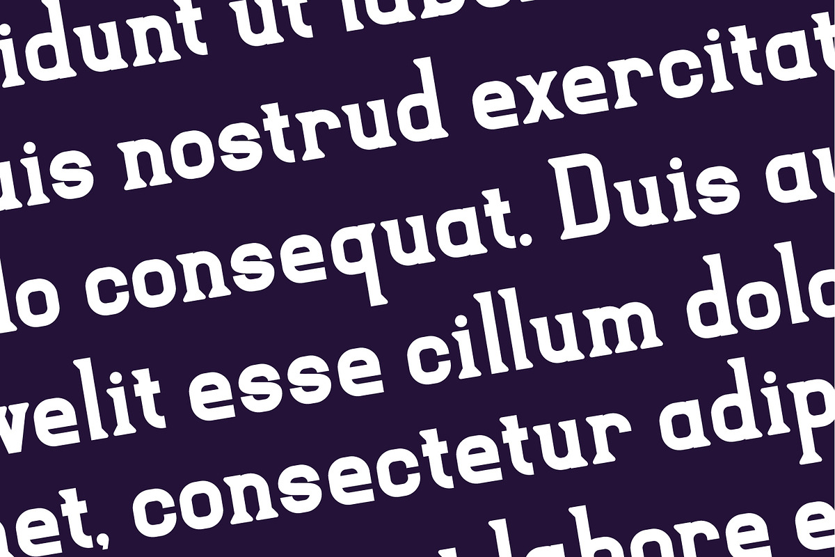 Arithrelle - Vintage Serif Font, a Serif Font by Rishsketch (Photo 5 of 15)