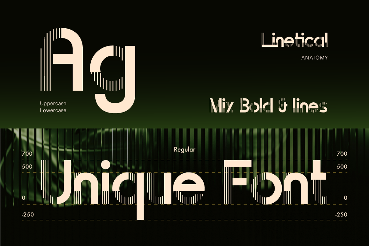 Linetical, a Sans Serif Font by Burntilldead (Photo 5 of 12)