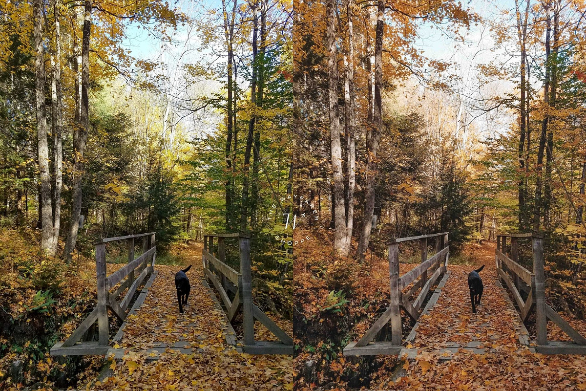 15 Aesthetic Fall Lightroom Presets, a Preset Add-On by TheWayfarerShoppe (Photo 8 of 8)