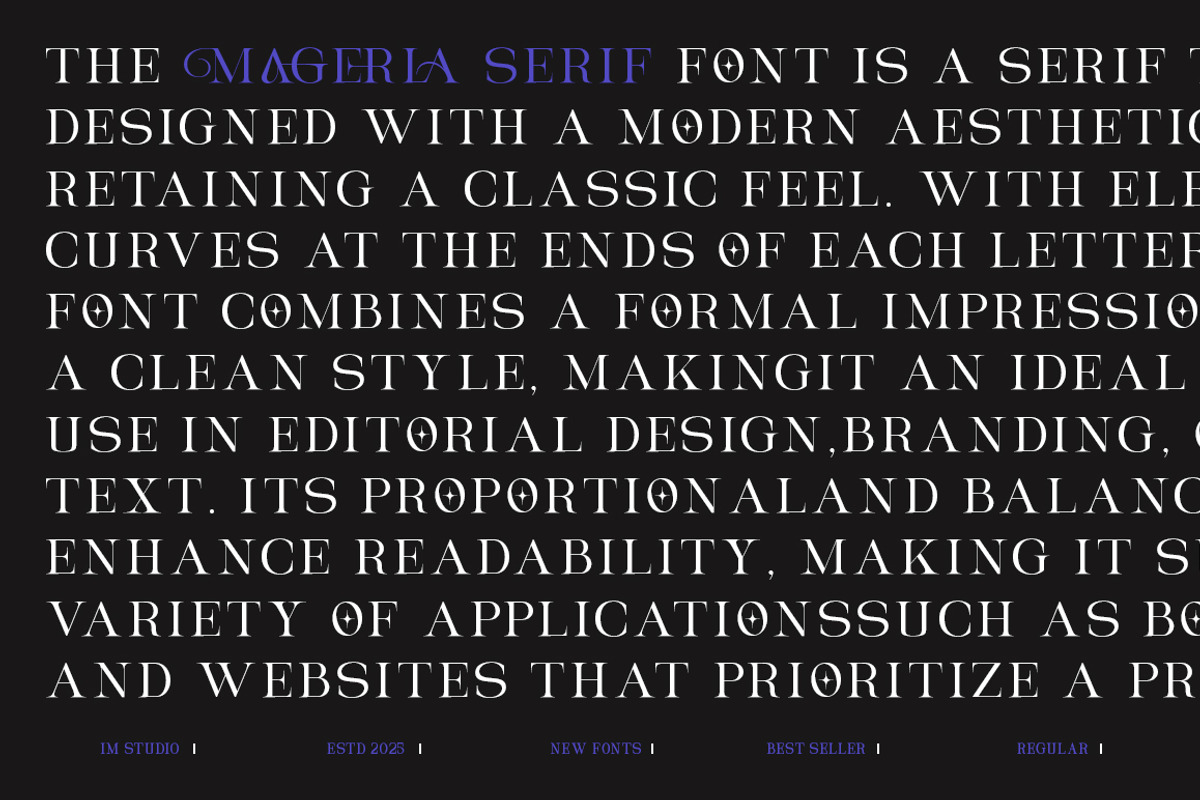 Magerla Serif, a Serif Font by IM Studio (Photo 10 of 12)
