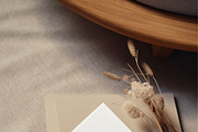 TERRE D'OMBRE Autumn Wildflowers, a Decorative Illustration by Muse Artist (Thumbnail 5 of 13)