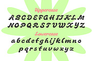 Jungle Funk – Bold Display Script, a Script Font by decographstud (Thumbnail 8 of 9)