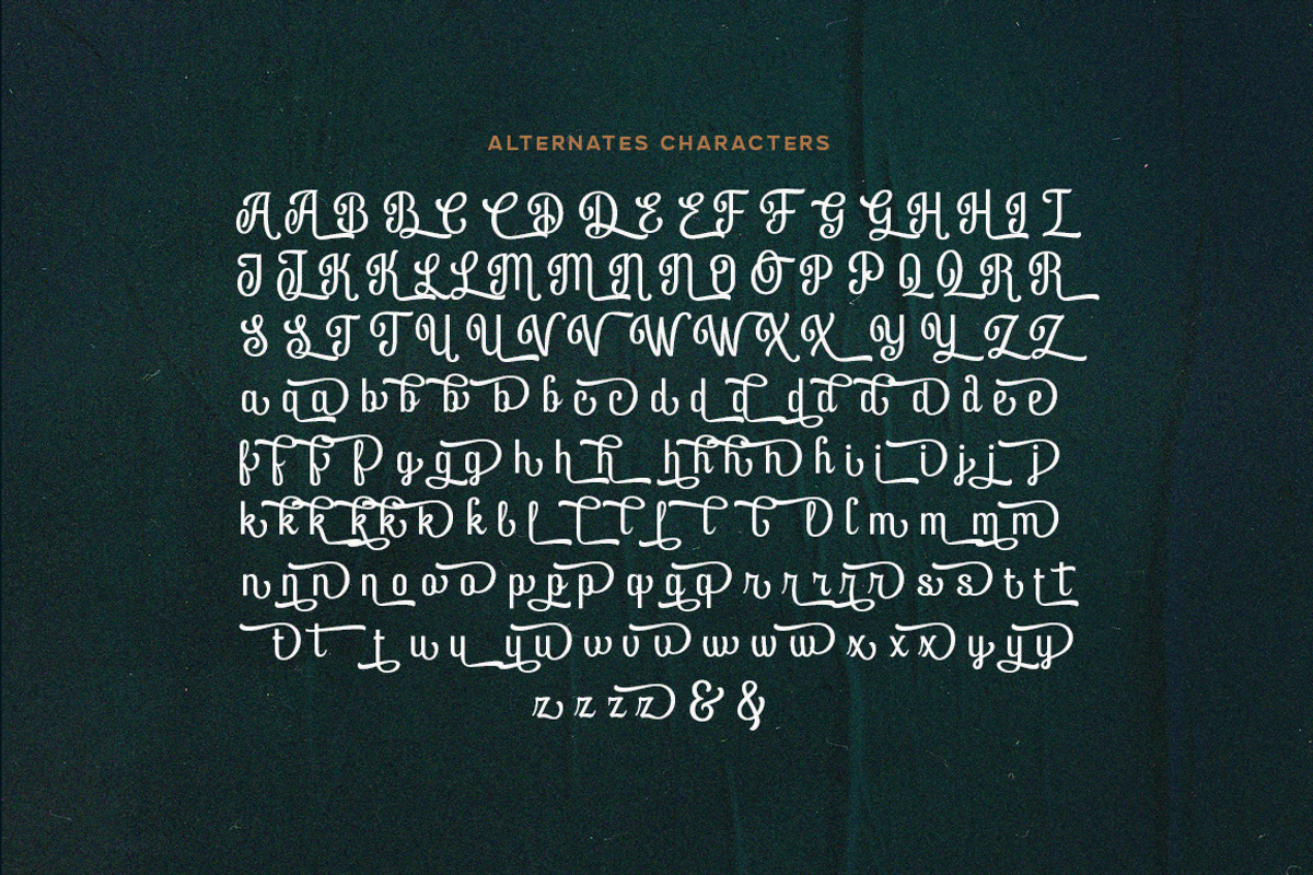 Andemyla Script, a Script Font by Fargun Studio (Photo 14 of 20)