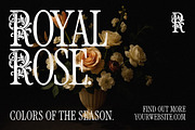 Royal Garden - Swirly Victorian Font, a Serif Font by AndrewPixelType (Thumbnail 7 of 10)