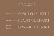 SS Loventica - Chic Elegant Serif, a Serif Font by Typocracy Studio (Thumbnail 3 of 10)
