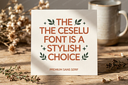 Ceselu - A Refined Luxury Serif, a Serif Font by Astuti Studio (Thumbnail 12 of 24)