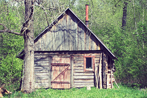 Old hut in the forest, an Architecture Photo by BOOCYS