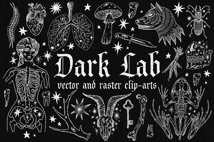Dark Lab Bundle, an Object Graphic by Annie Konst