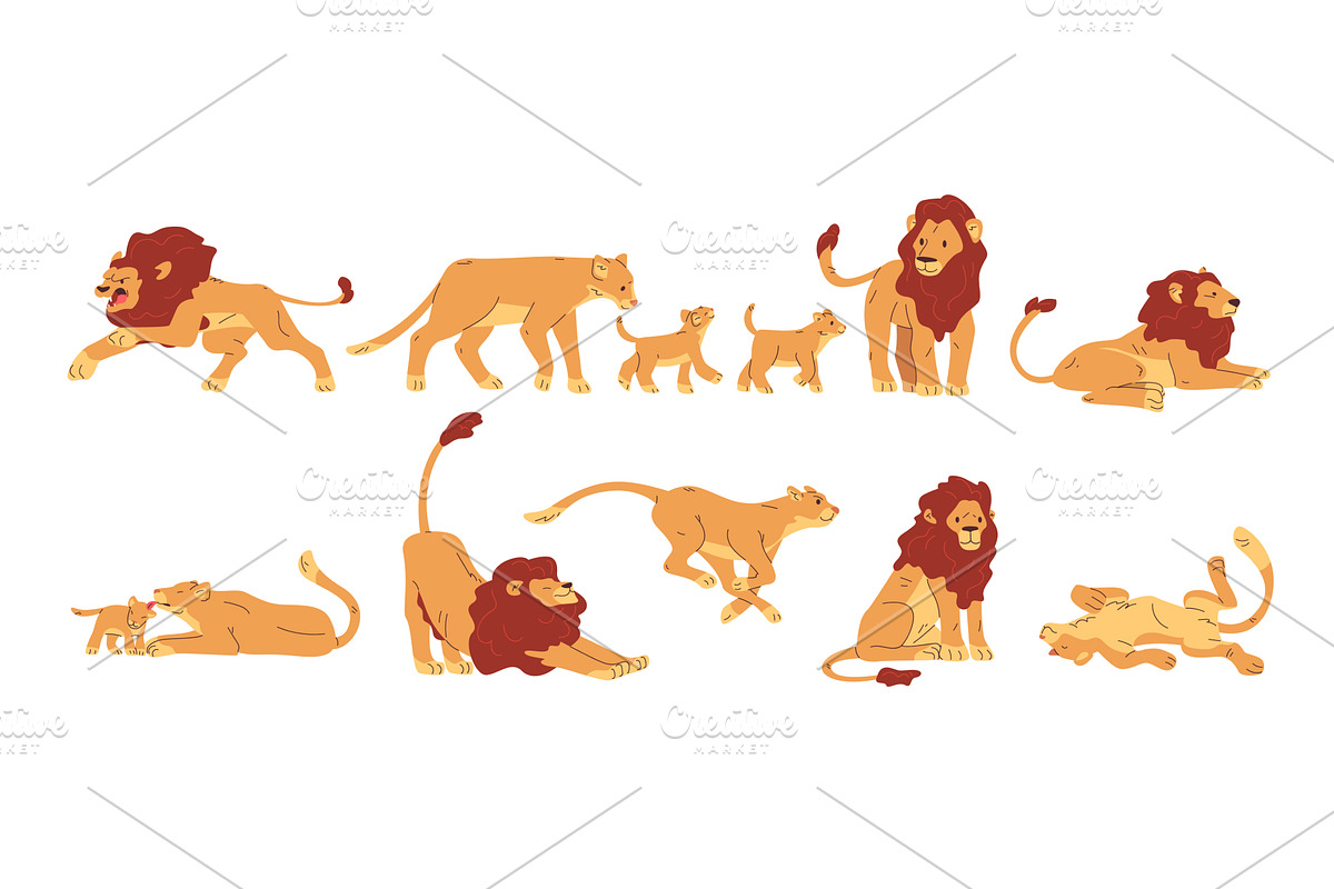 Lion lioness animals. Lions pride, an Animal Illustration by Stock-Smart-Start