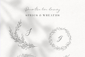 Line Drawn Floral Wreaths, Sprigs