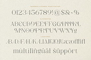 Absolute Glows -Sophisticated Luxury, a Serif Font by Shakira Studio (Thumbnail 10 of 10)