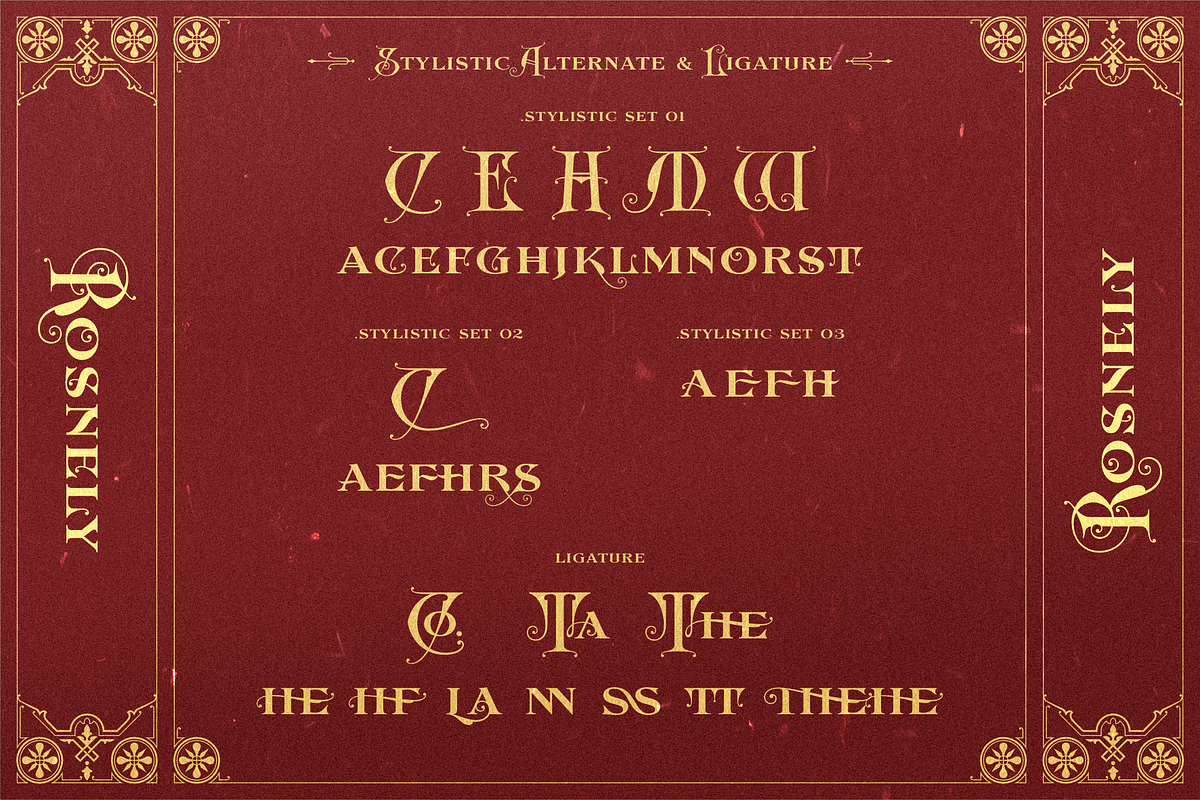 AM Rosnely (Disc 20%), a Serif Font by Akarmati (Photo 3 of 10)