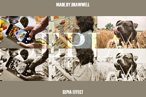 Sepia Photo Effect