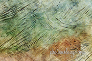 PhotoMelange December Textures preview 5