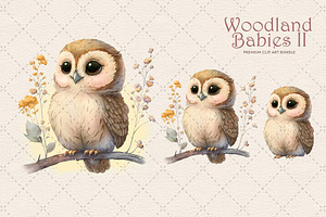 Woodland Animals II