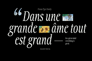 Fionas - 14 Fonts, a Serif Font by Nasir Udin (Thumbnail 4 of 17)