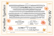 CARNELIAN - Display Variable Type, a Sans Serif Font by Artflorara (Thumbnail 15 of 16)