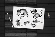 Sumi-e. Japanese ink painting, a Decorative Illustration by Ira Cvetnaya (Thumbnail 8 of 9)