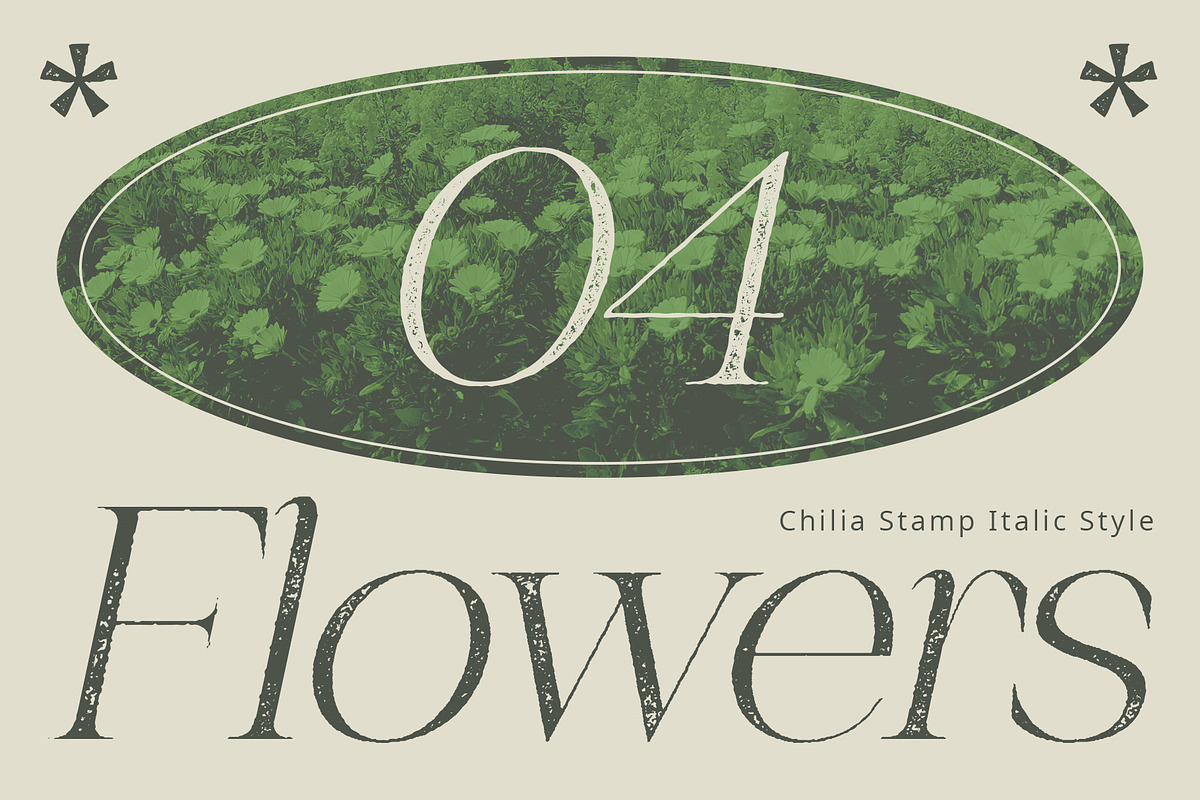 Chilia Stamp, a Serif Font by Craft Supply Co. (Photo 2 of 8)