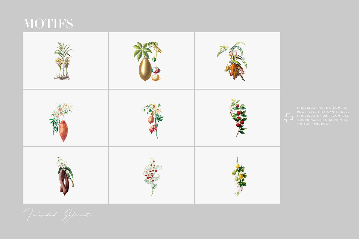 Herbarium Collection prints & more!, a Pattern Graphic by Pink Linen (Photo 7 of 15)