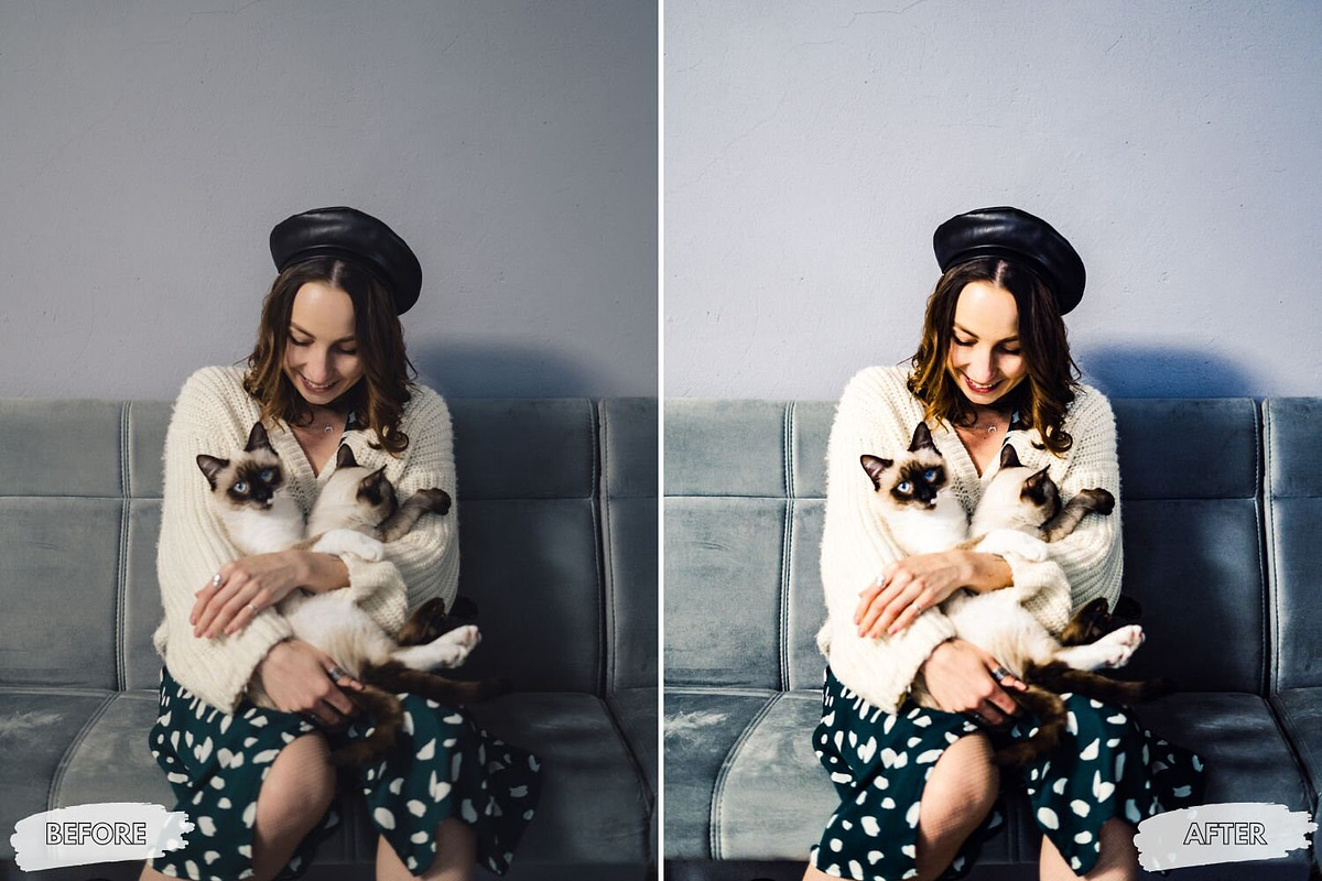 10 Curious Cat Lightroom Presets, a Preset Add-On by LucaTheme (Photo 8 of 9)