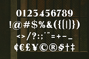 Helonea – Bold Display Font, a Serif Font by Randi Irvan | Rvandtype (Thumbnail 11 of 11)
