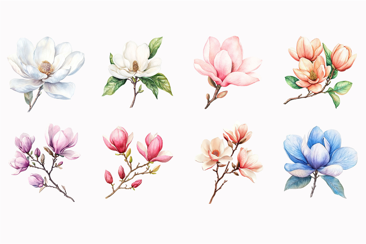 Watercolor Magnolia Flower Clipart, an Illustration by Design Market (Photo 5 of 5)