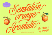Vakantcy Modern Brush Script, a Script Font by Letterena Studios Script (Thumbnail 8 of 10)