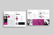 Business Plan Template, a Brochure Template by NorthPeak (Thumbnail 5 of 9)