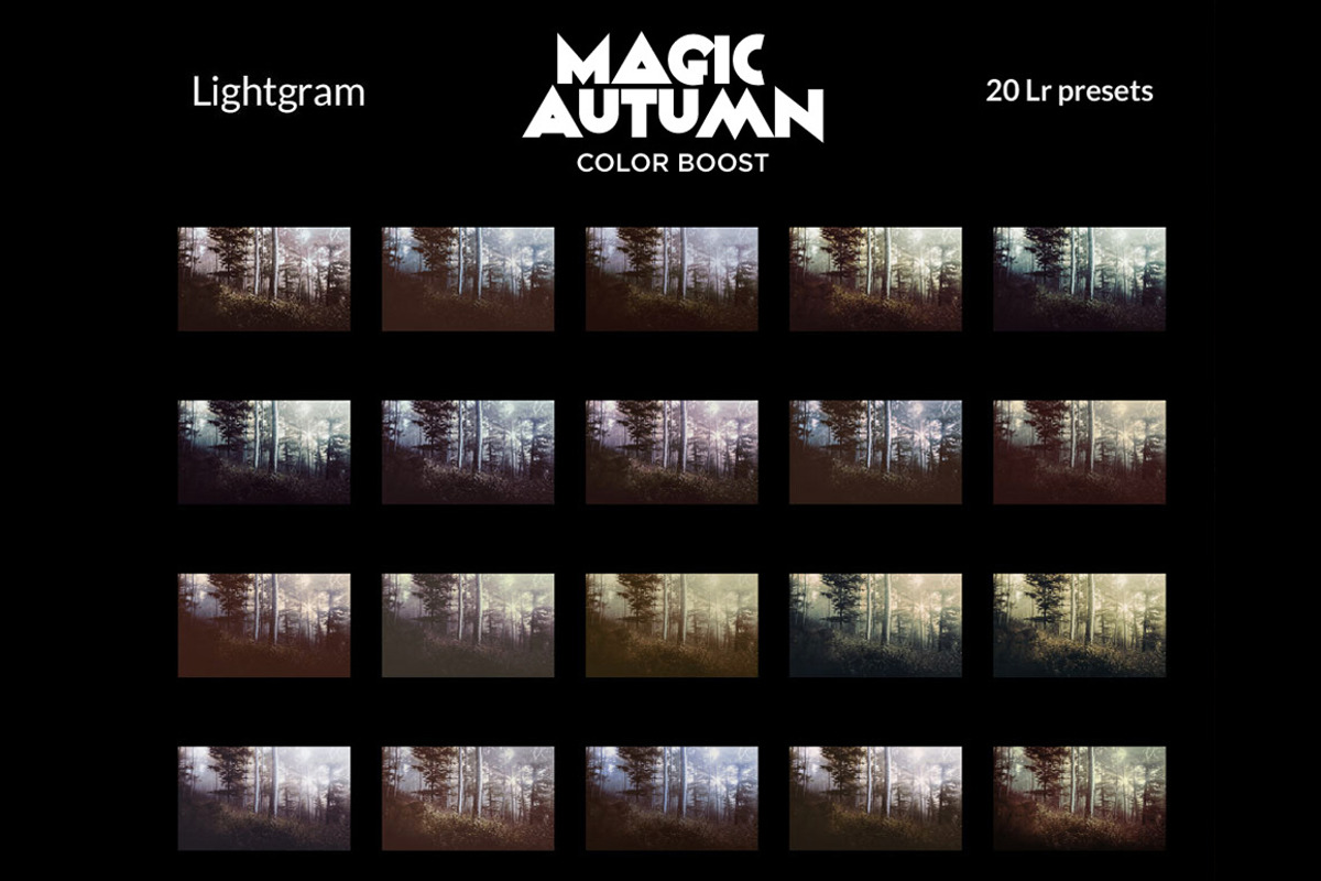 20 Autumn Lightroom Presets, an Action Add-On by Lightgram.com (Photo 5 of 5)