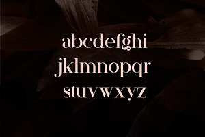 Papillon - Handcrafted Serif Font