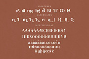 mariana modern & stylish serif font, a Serif Font by Storytype Studio (Thumbnail 14 of 15)