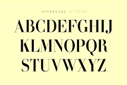 Bavex Pro Font, a Serif Font by FG Studios (Thumbnail 3 of 3)