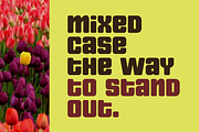 Nipok - Unicase Fancy Retro Display, a Font by Gravitype (Thumbnail 2 of 12)