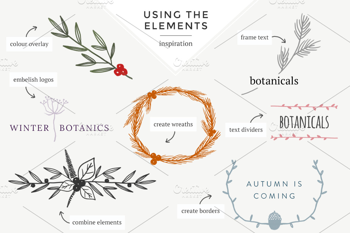 Modern botanical Photoshop brushes, a Brush Add-On by Little Bean (Photo 4 of 8)
