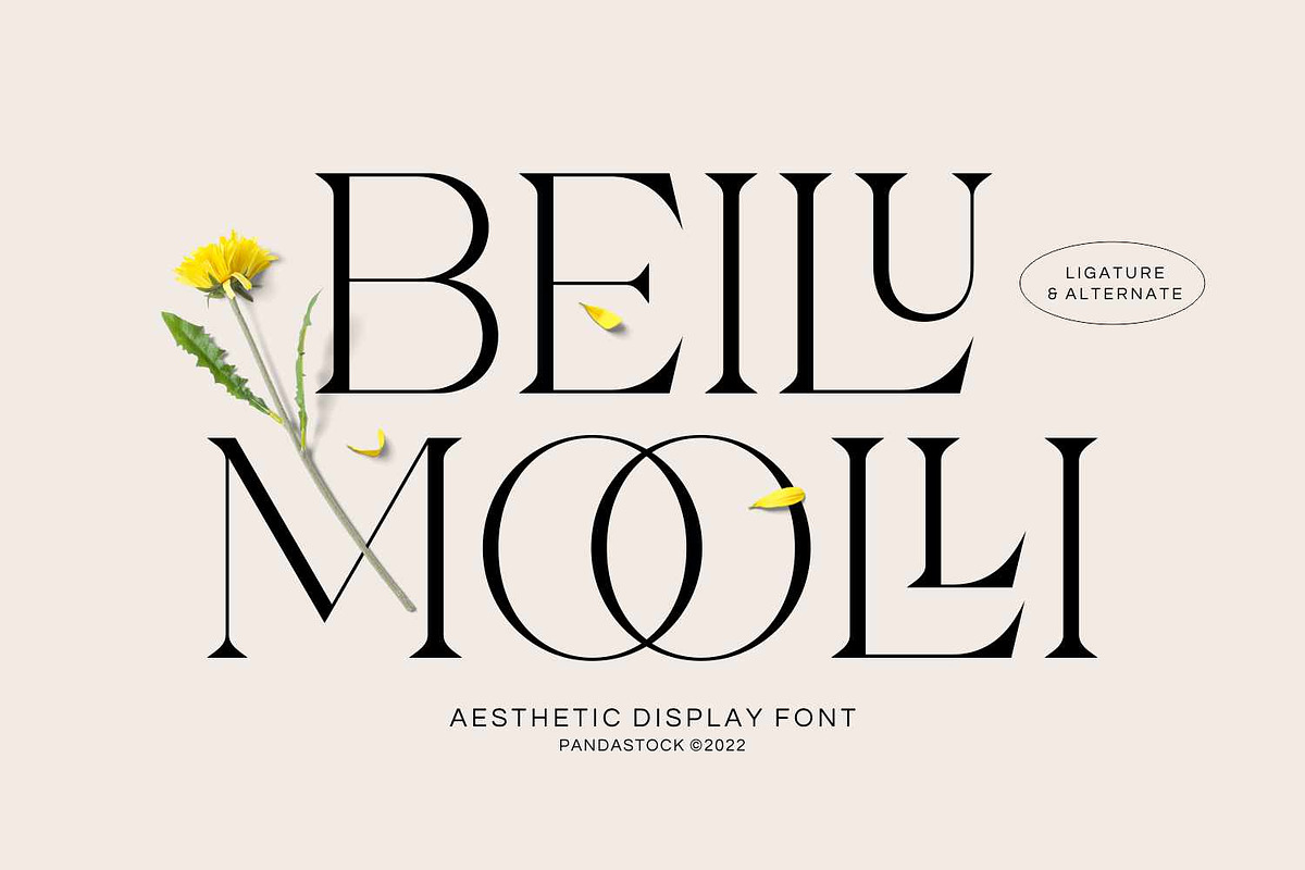 Beilu Moolli - Aesthetic Serif, a Serif Font by Imoodev (Photo 1 of 5)