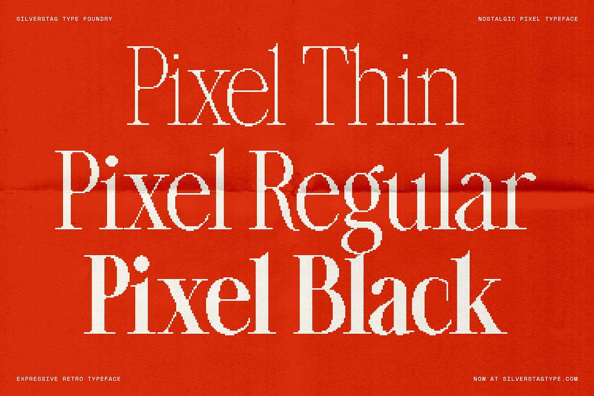 The Silver Editorial Pixel Version, a Serif Font by SilverStag Type Foundry (Photo 3 of 20)
