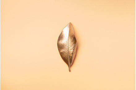 Golden leaf on nude background. Top, a Nature Photo by Enjoy Photo
