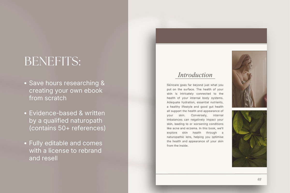 Holistic Skin Ebook Premade Canva, a Presentation Template by Naturopath Hub (Photo 4 of 11)