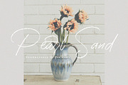 Pearl Sand - Handwritten Brush Font, a Script Font by Prioritype Co (Thumbnail 1 of 10)