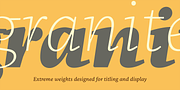 NCT Granite, a Serif Font by NCT (Thumbnail 7 of 10)