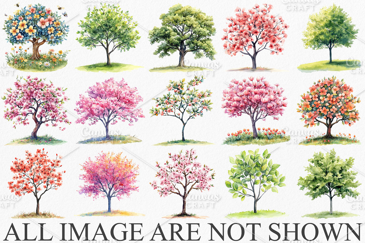 Watercolor Spring Tree Clipart PNG, an Illustration by Canvas Craft (Photo 3 of 7)