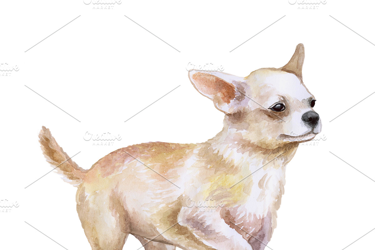 Most Popular Dog Breeds Pet Portrait, an Animal Illustration by Dneprstock (Photo 7 of 23)