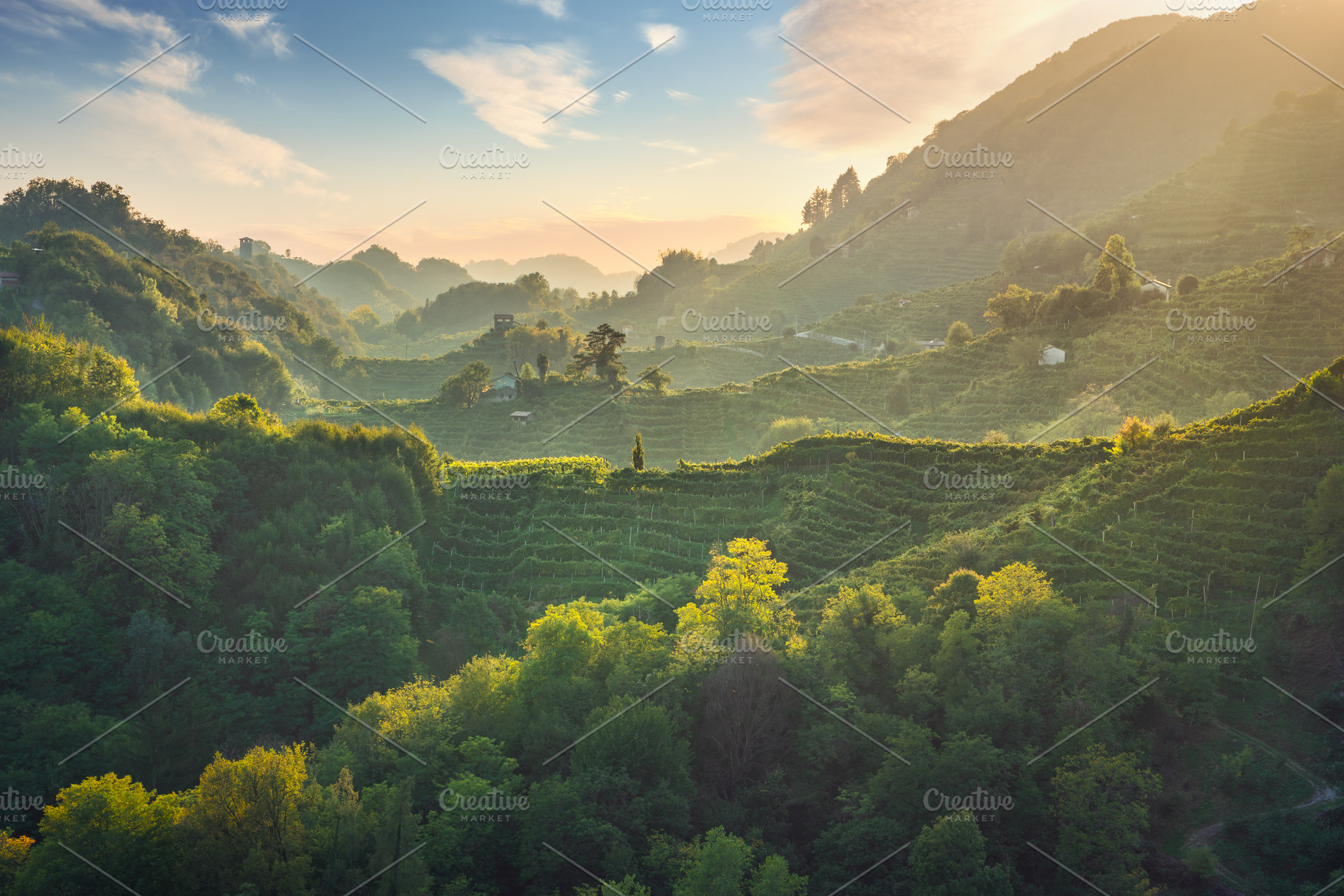 Prosecco Hills hogback and vineyards, a Nature Photo by Stefano Orazzini